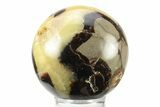 Polished Septarian Sphere - Madagascar #238988-1